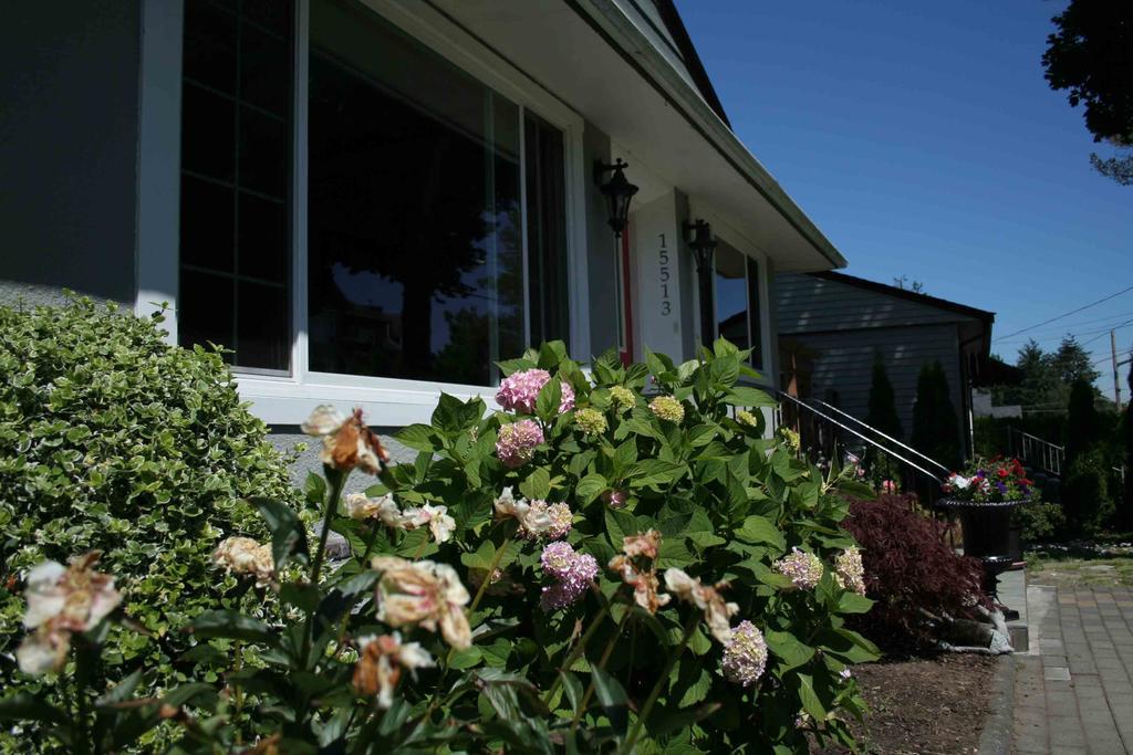 Hotel Semi Centre House à White Rock Extérieur photo